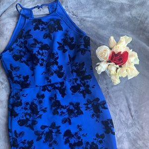 Blue & Black Velvet Flower Dress 🥀